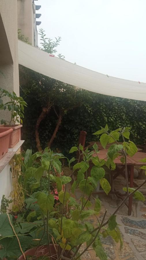 Nadales Benalmádena